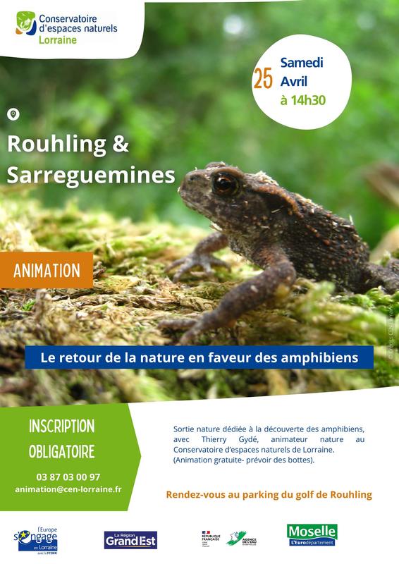 Sortie nature - le retour de la nature en faveur des amphibiens