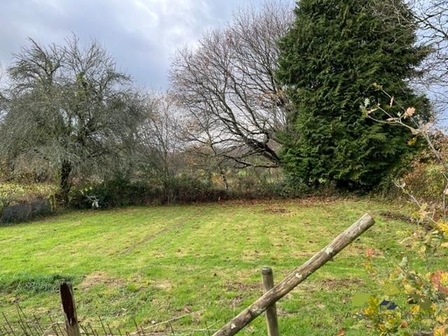 Maison en pierre - 120 m² - 6 pièces