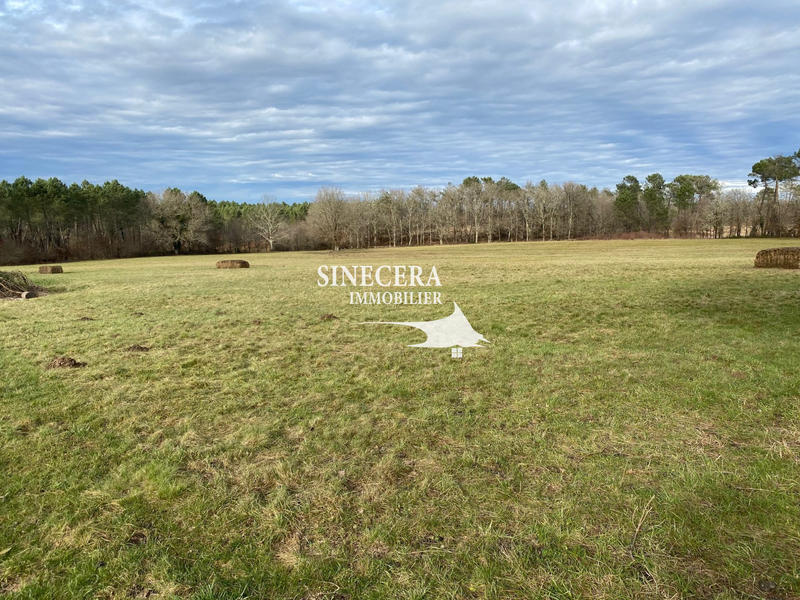 Maison - 227 m² - 9 pièces