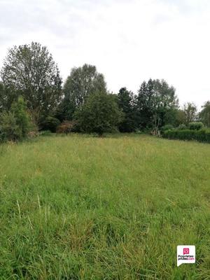 Terrain constructible - 1 917 m²