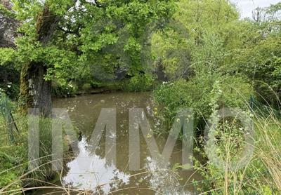 Maison de maîtres - 268 m² - 10 pièces