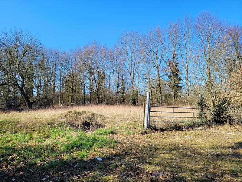 Maison - 150 m² - 4 pièces