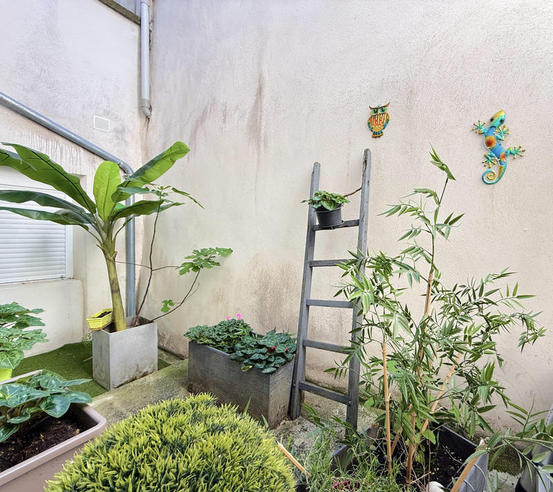 Bureau - 54 m² - 3 pièces