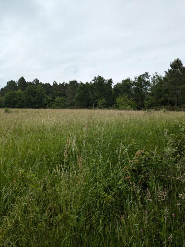 Maison - 190 m² - 5 pièces