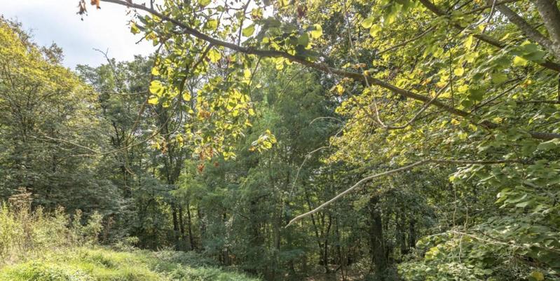 Maison - 280 m² - 10 pièces