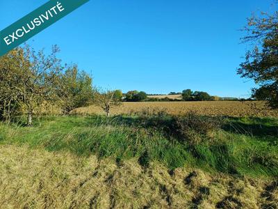 Terrain agricole - 1 699 m²
