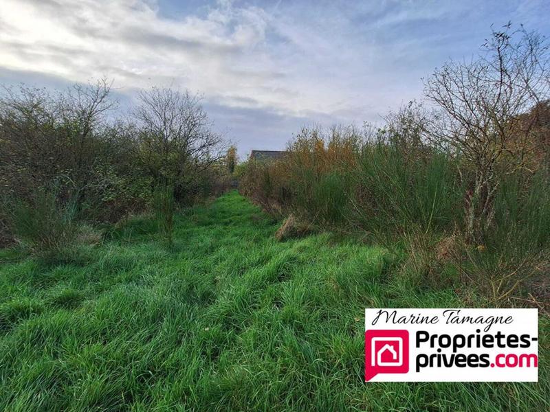 Terrain constructible - 4 895 m²