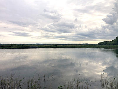 Terrain - 16 950 m²