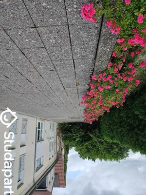 Appartement - 9 m² - 1 pièce