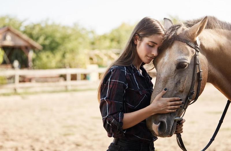 Spectacle équestre : Coup de folie sous le chapiteau