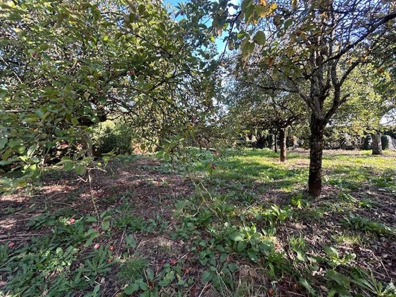 Maison - 124 m² - 6 pièces