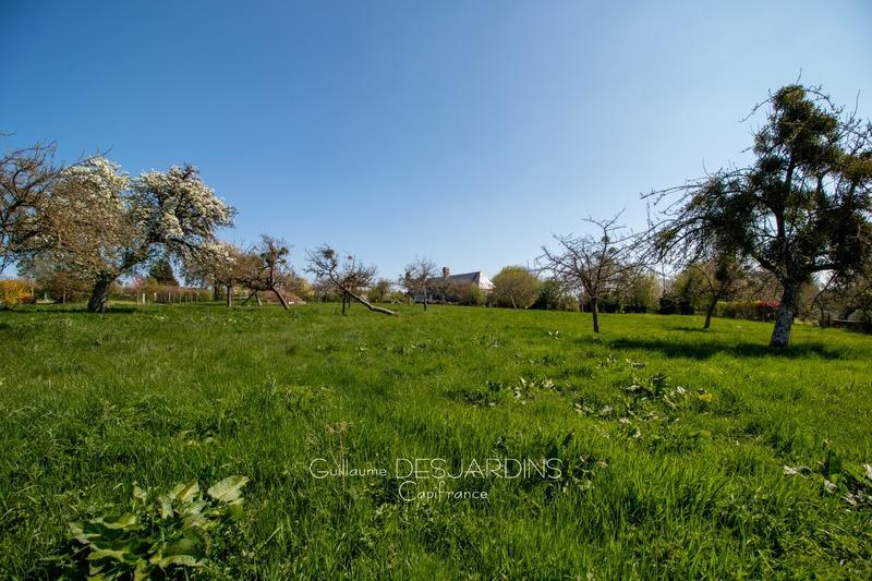 Terrain constructible - 4 000 m²