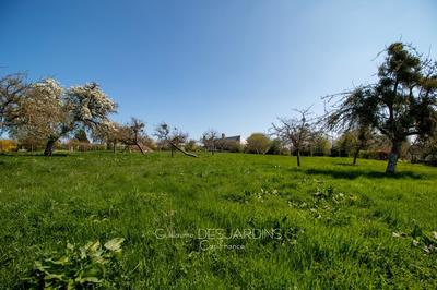 Terrain constructible - 4 000 m²