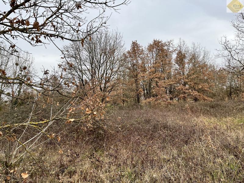 Terrain de loisirs - 4 930 m²