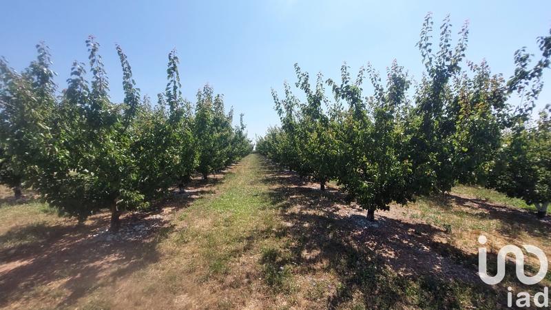 Terrain agricole - 8 467 m²