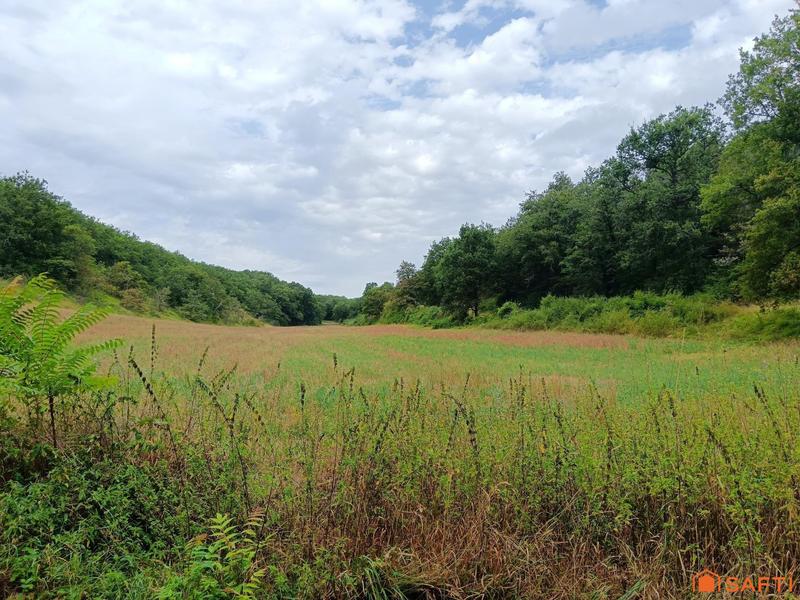 Maison - 300 m² - 9 pièces