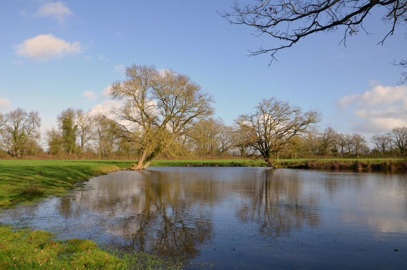 Maison - 227 m² - 8 pièces