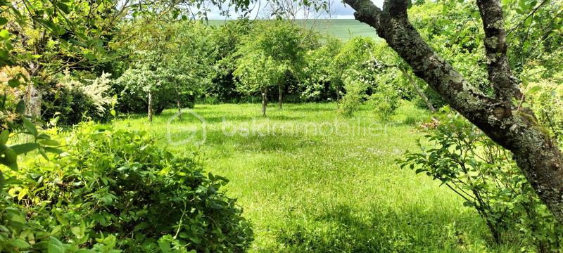 Maison de maîtres - 160 m² - 6 pièces