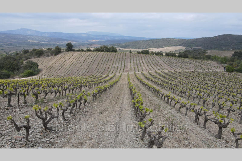 Terrain - 17 200 m²