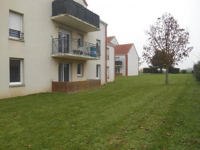 Appartement - 55 m² - 3 pièces