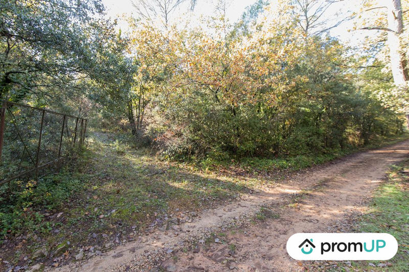 Terrain agricole - 9 625 m²