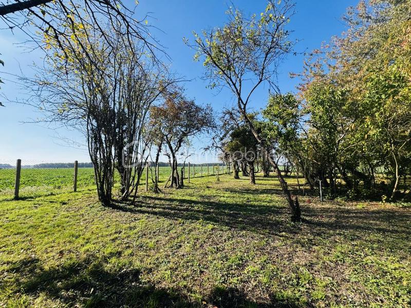 Maison ancienne - 170 m² - 9 pièces