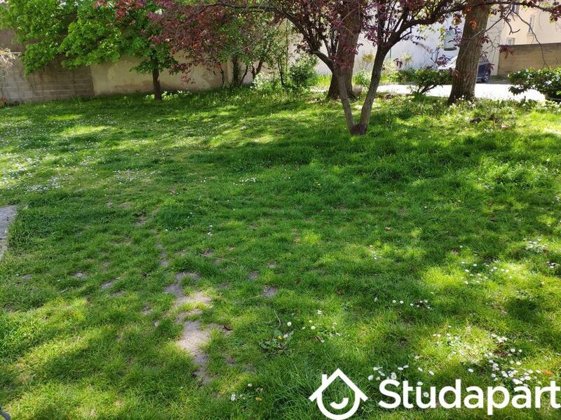 Chambre - 11 m² - 1 pièce