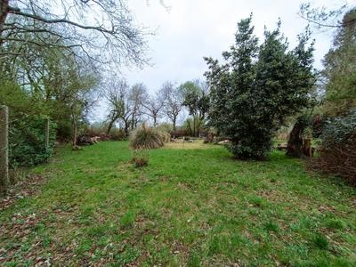 Terrain de loisirs - 2 000 m²