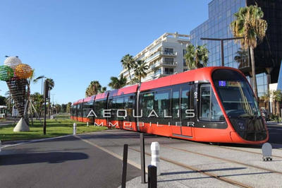 Appartement - 68 m² - 3 pièces