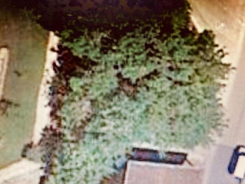 Terrain constructible - 486 m²