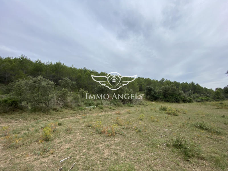 Terrain de loisirs - 49 670 m²