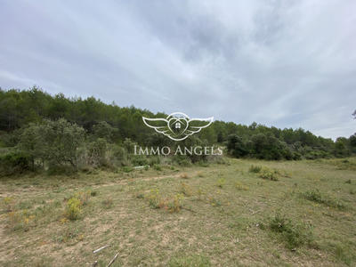 Terrain de loisirs - 49 670 m²