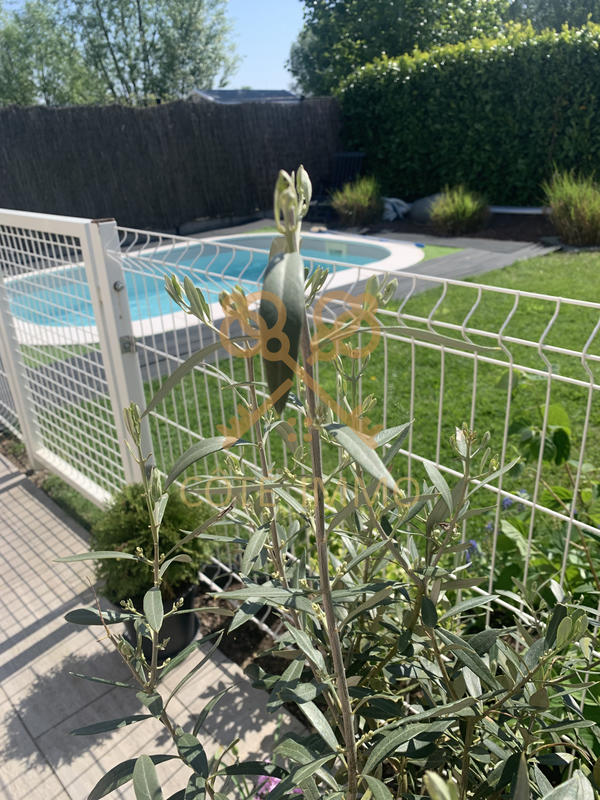 Maison - 118 m² - 4 pièces