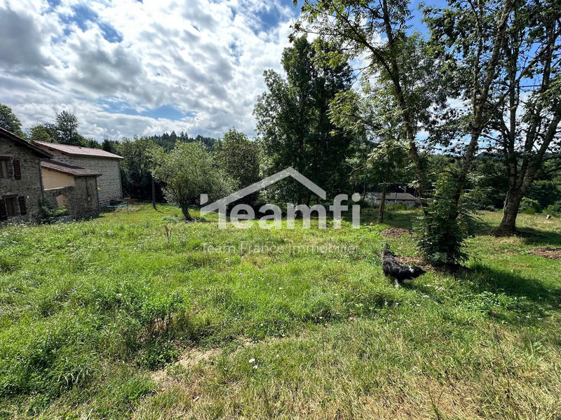 Maison - 259 m² - 10 pièces