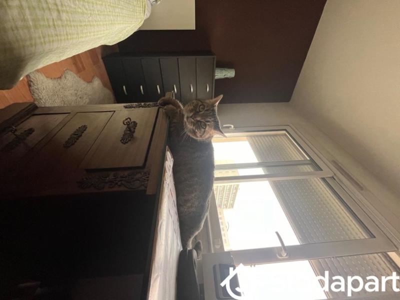 Chambre - 11 m² - 1 pièce