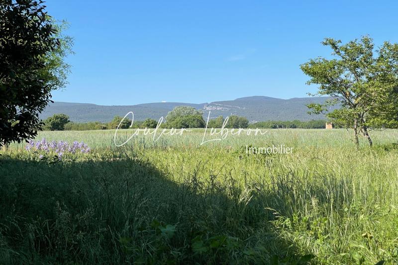 Propriété - 600 m² - 14 pièces