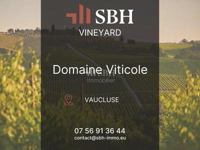 Propriété viticole