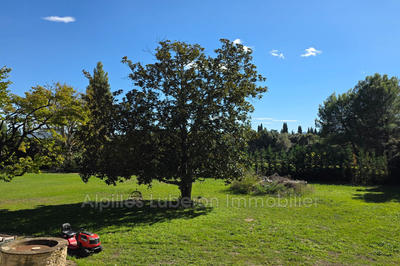 Mas - 380 m² - 9 pièces