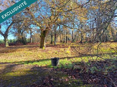 Maison - 211 m² - 9 pièces