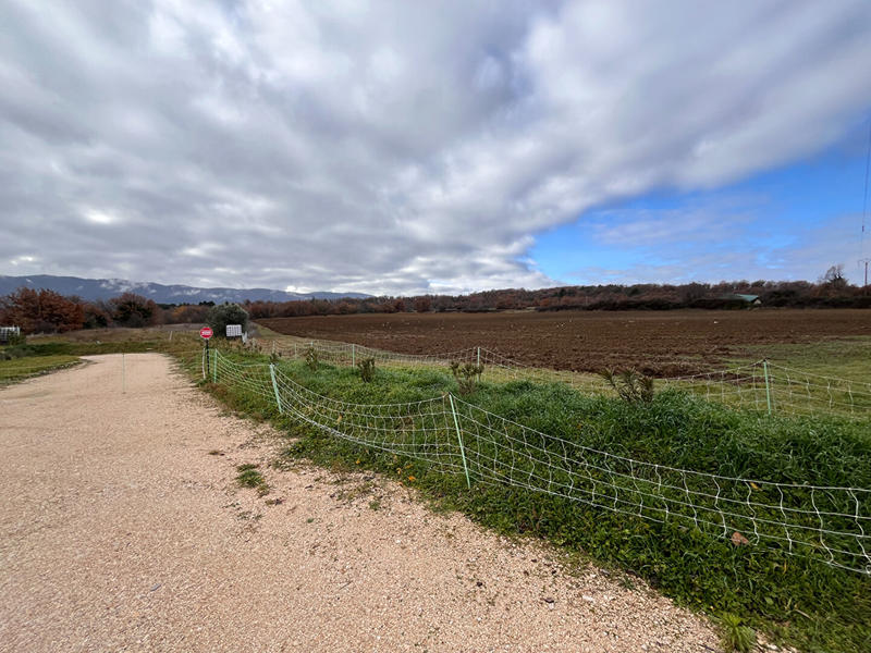 Maison - 235 m² - 7 pièces