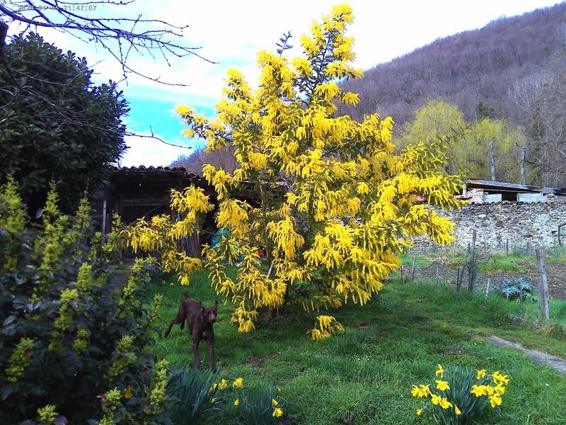 Fermette - 122 m² - 5 pièces