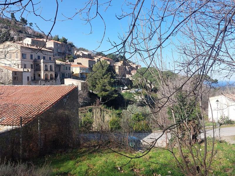 Terrain constructible - 1 361 m²