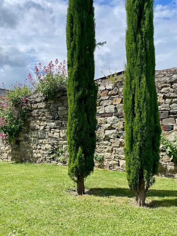 Propriété - 435 m² - 10 pièces