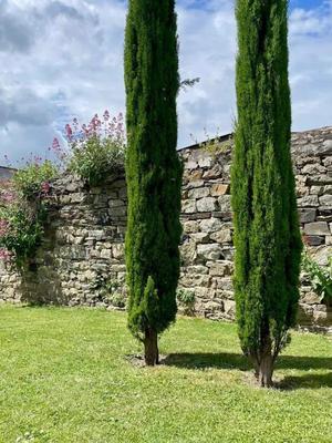 Propriété - 435 m² - 10 pièces