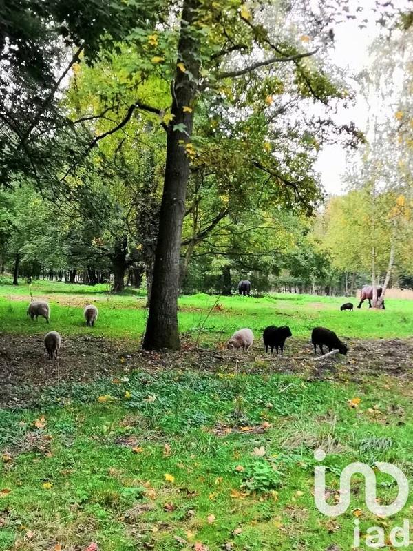 Maison - 368 m² - 14 pièces