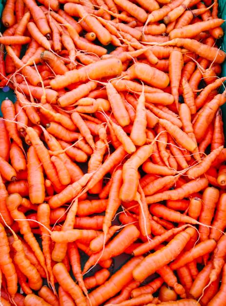 Les légumes bio du chemin des Clapiers