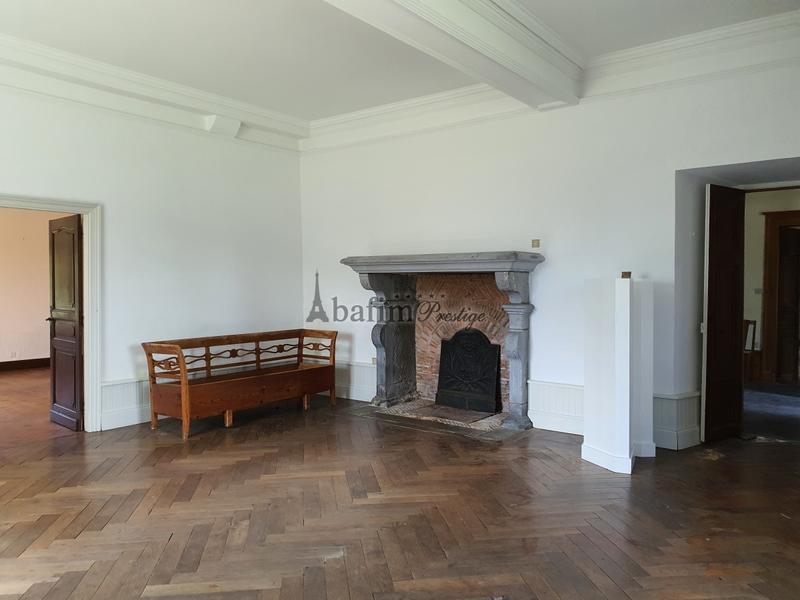 Château - 600 m² - 16 pièces