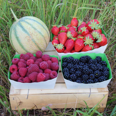 Le Verger de la Fontaine