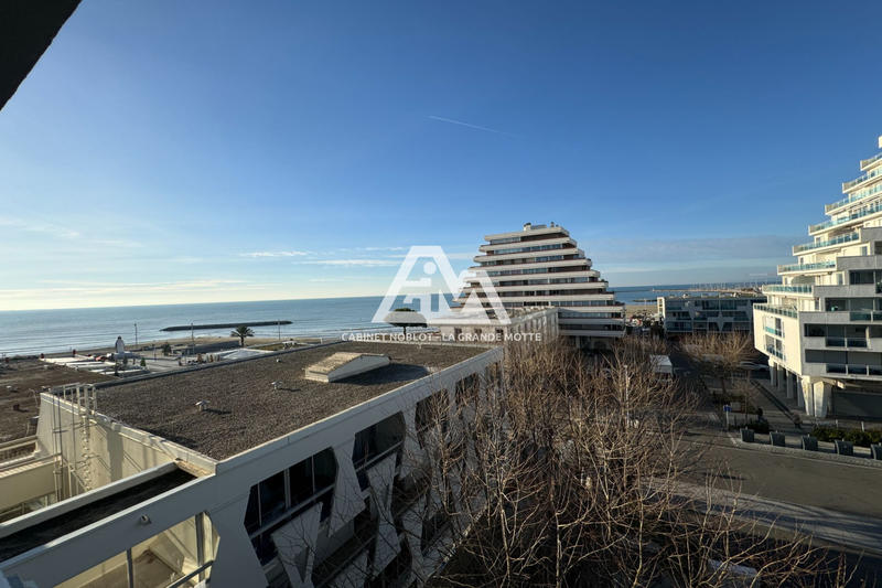 Appartement - 30 m² - 1 pièce