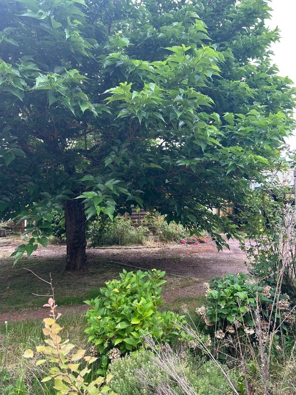 Maison - 230 m² - 10 pièces